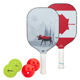 Diadem Icon V1 Canada 2 Paddle Pickleball Bundle